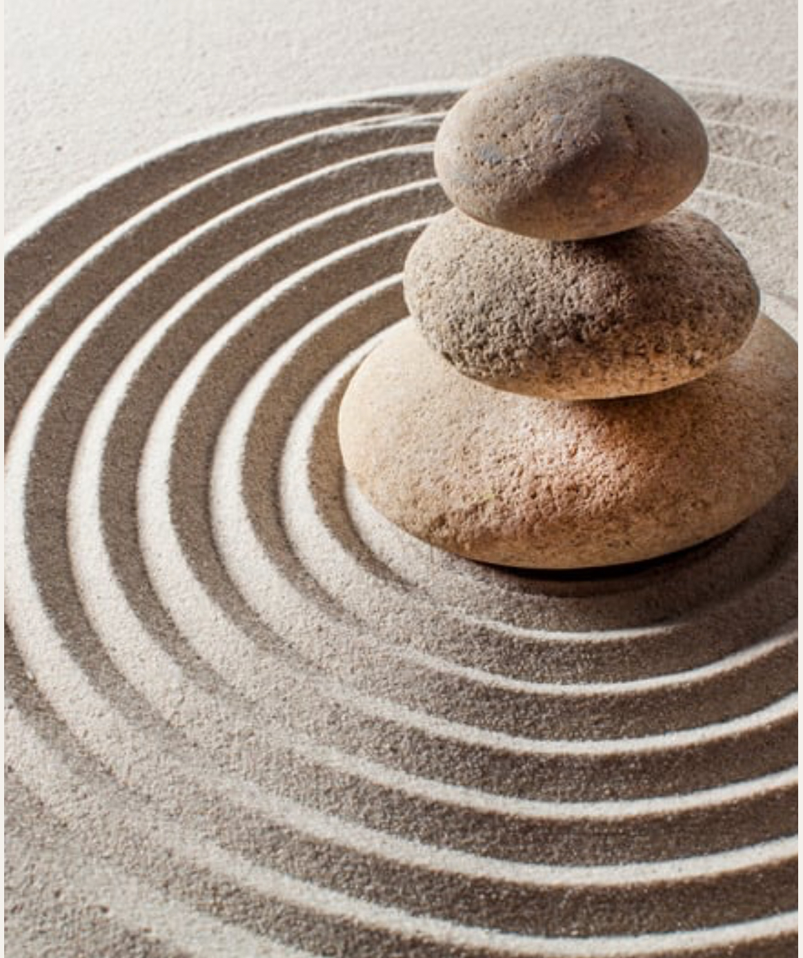 Guided Meditation
